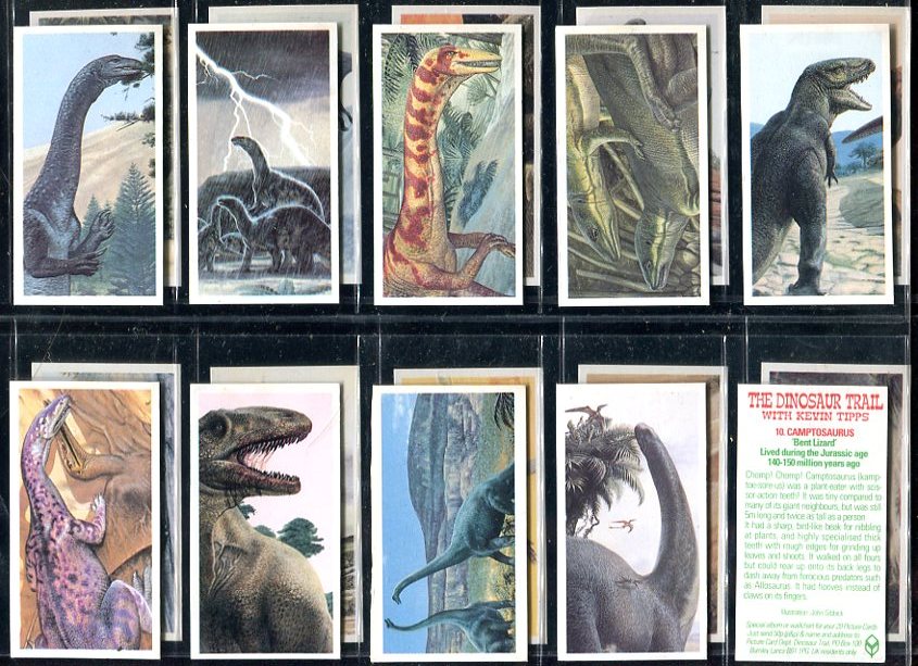 1993 Brooke Bond DINOSAUR TRAIL  BB1 11PG dinosaurs Trading set 20 cards  RARE! 