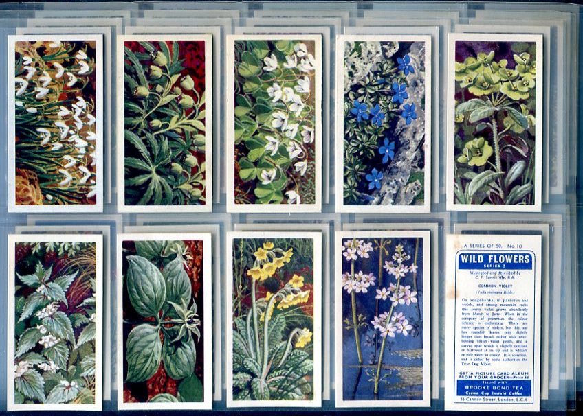 First Ten Cards